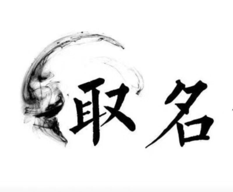  莘县宝宝取名 大师一对一人工起名